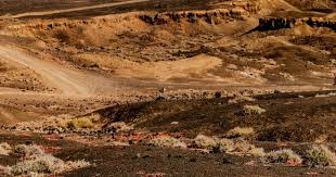 《赛博朋克2077》Steam在线数破13万 衍生动画是功臣